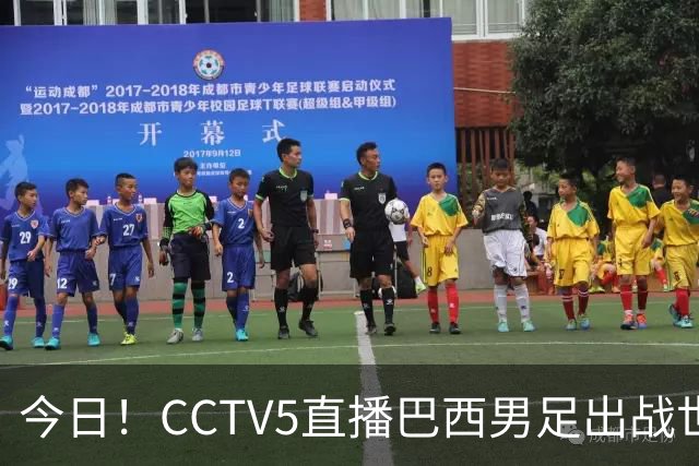 今日！CCTV5直播巴西男足出战世界杯，精彩呈现转NBA与F1赛事